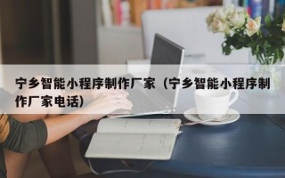宁阳宁乡智能小程序制作厂家（宁乡智能小程序制作厂家电话）
