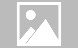 宁阳关于网站建设免费（关于网站建设免费的通知）